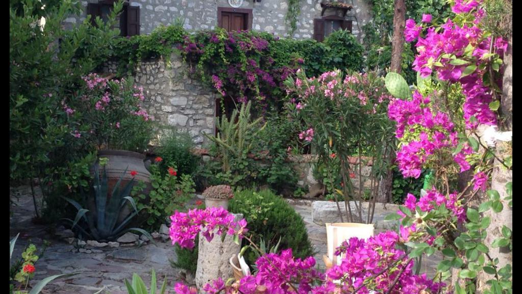 Medusa House Butik Hotel Didim Ngoại thất bức ảnh