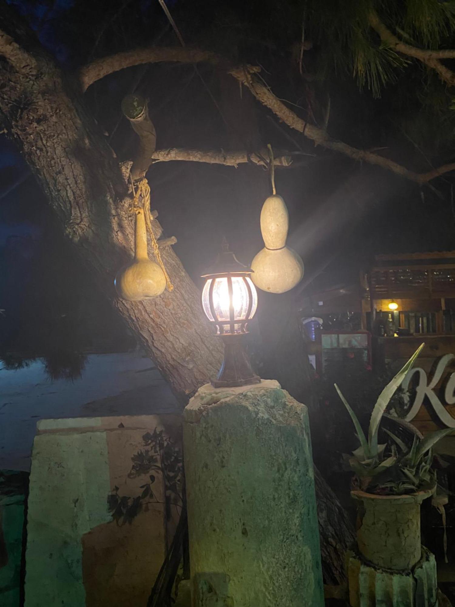 Medusa House Butik Hotel Didim Ngoại thất bức ảnh