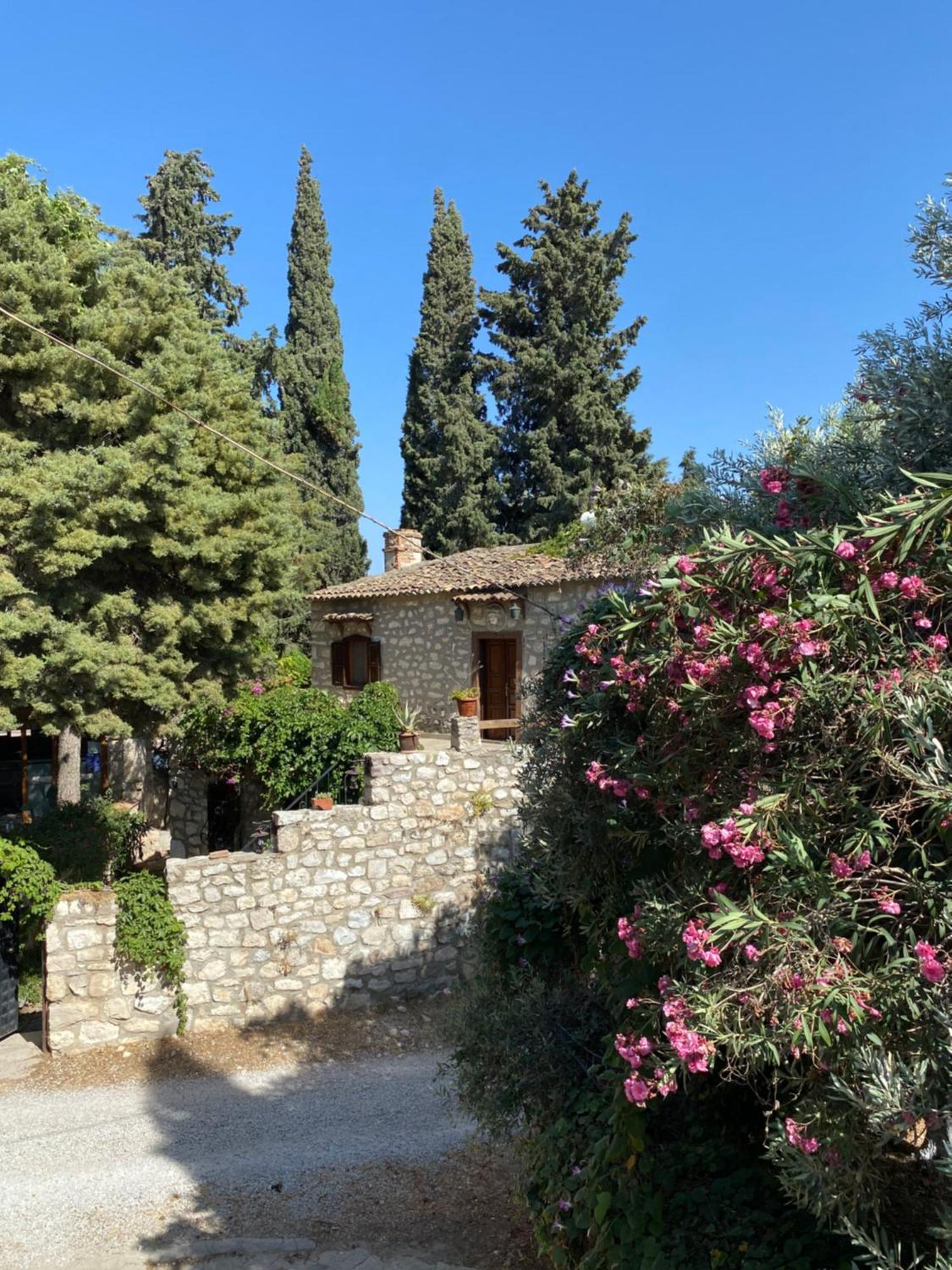 Medusa House Butik Hotel Didim Ngoại thất bức ảnh