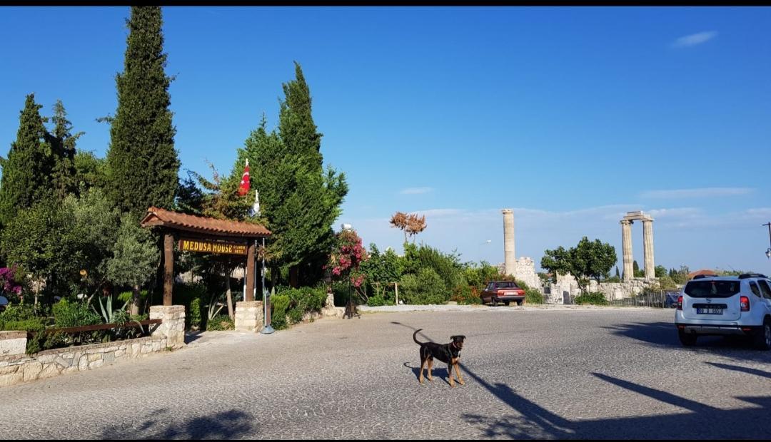 Medusa House Butik Hotel Didim Ngoại thất bức ảnh